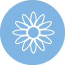 Vaikų kalbos lavinimo priemonės – Šneku Kalbu